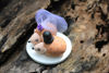 Picture of Hedgehog Wedding Cake Topper