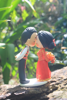 Picture of Hmong and Chinese wedding topper