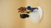 Picture of Princess wedding cake topper, Beauty & The Beast wedding cake topper