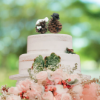 Picture of Pinecone Wedding Cake Topper, Rustic wedding theme